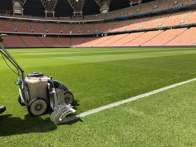 Cỏ Paspalum là gì? Ưu điểm, ứng dụng và chi phí đầu tư